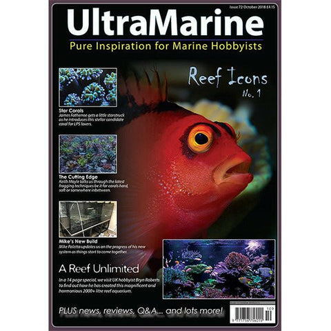 Ultra-Marine