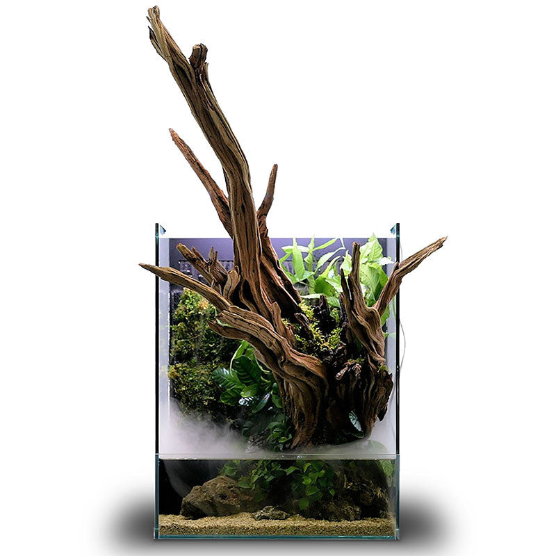 UNS Foresta Paludariums