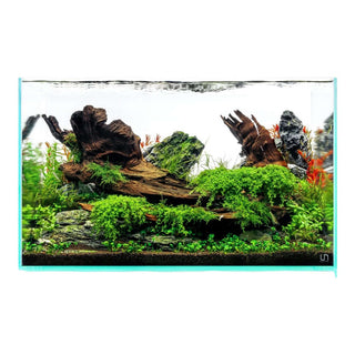 UNS Rimless Aquariums