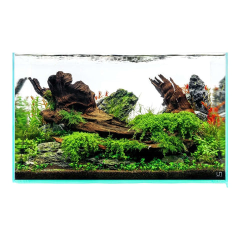 UNS Rimless Aquariums