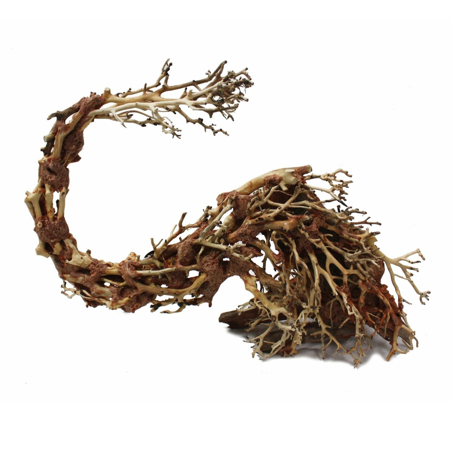 Hugo Kamishi Decoration