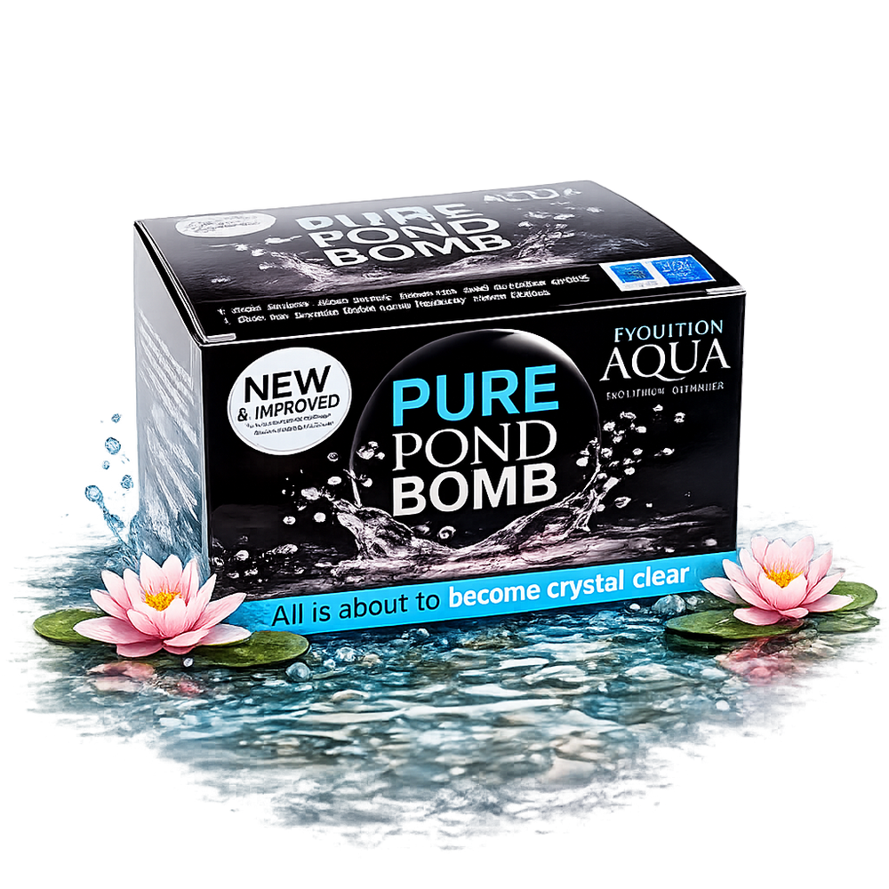 The Complete Guide to Pond Treatments