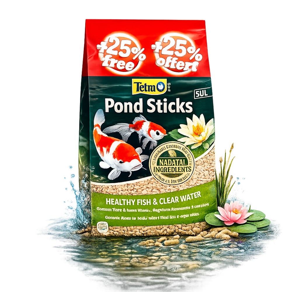The Complete Guide to Pond Fish Food