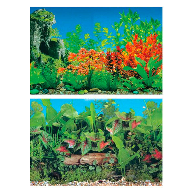 Aqua One Double Sided Poster Red Butterfly/Pearl Water Grass 48cm Height (1m)