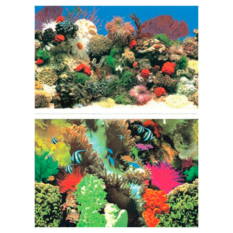 Aqua One Double Sided Poster Red Coral/Sea Paradise 48cm Height (1m)