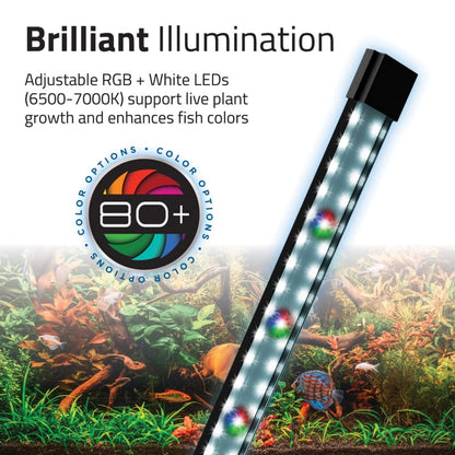 Fluval Flex 2.0 Aquarium Kit 34L (9 US Gal)