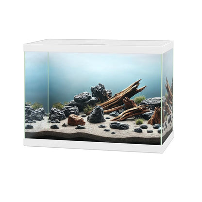 Ciano Aqua 15C Aquarium.