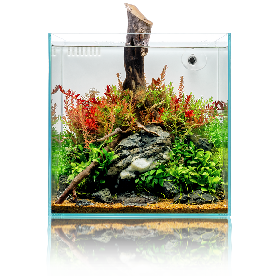 The UNS Difference – Aquariums Designed for Natural Beauty
