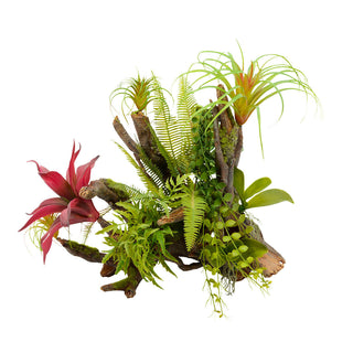 Aqua One Natural Tropical Planted Garden Branch