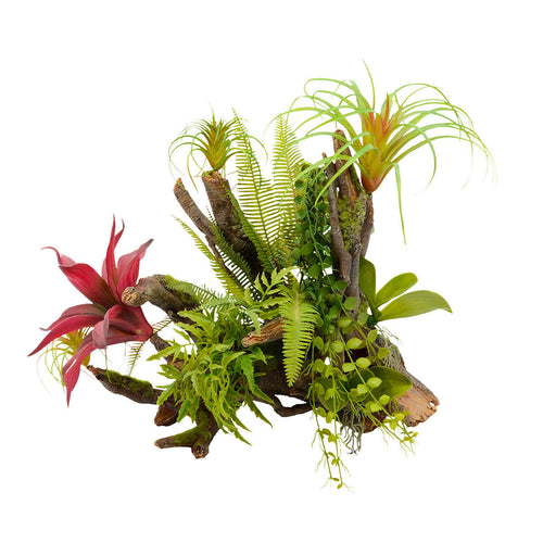 Aqua One Natural Tropical Planted Garden Branch