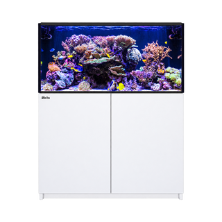 Red Sea Reefer G3+ 425 Max Aquarium and Cabinet
