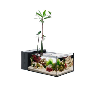 UNS Dual All-In-One 45SA - 5.9 Gallon Dual AIO Rimless Aquarium.