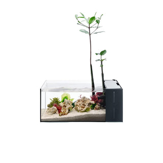 UNS Dual All-In-One 45SA - 5.9 Gallon Dual AIO Rimless Aquarium.