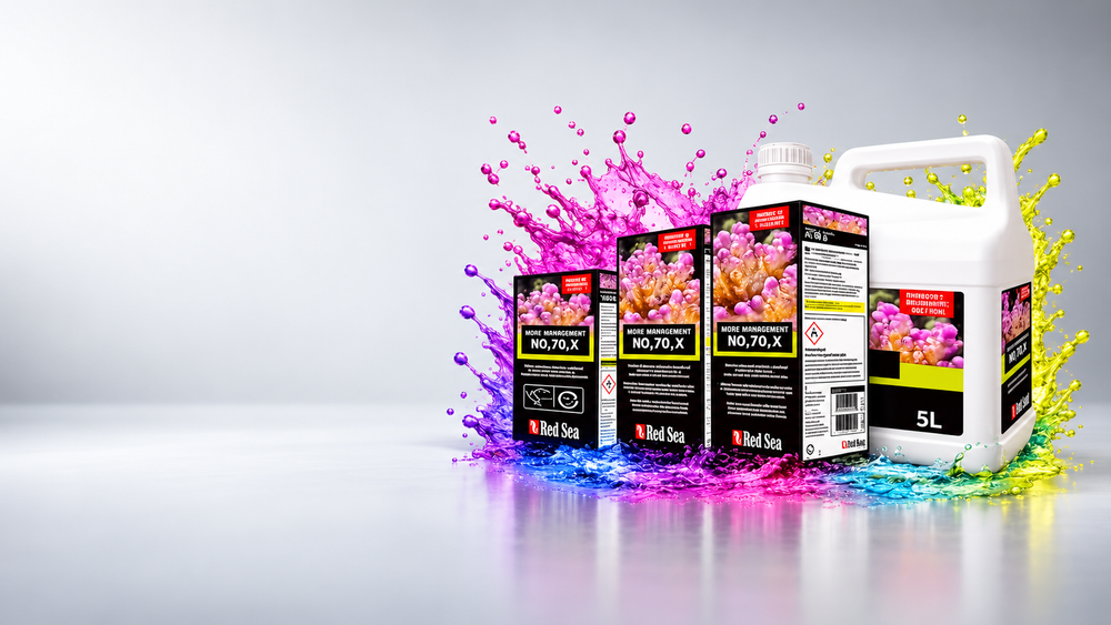 Marine Aquarium Conditioning Supplements Explained