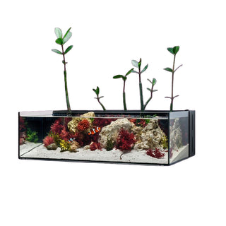 UNS Dual All-In-One 60SA - 10.2 Gallon Dual AIO Rimless Aquarium
