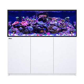 Red Sea Reefer G3+ 625 Max Aquarium and Cabinet