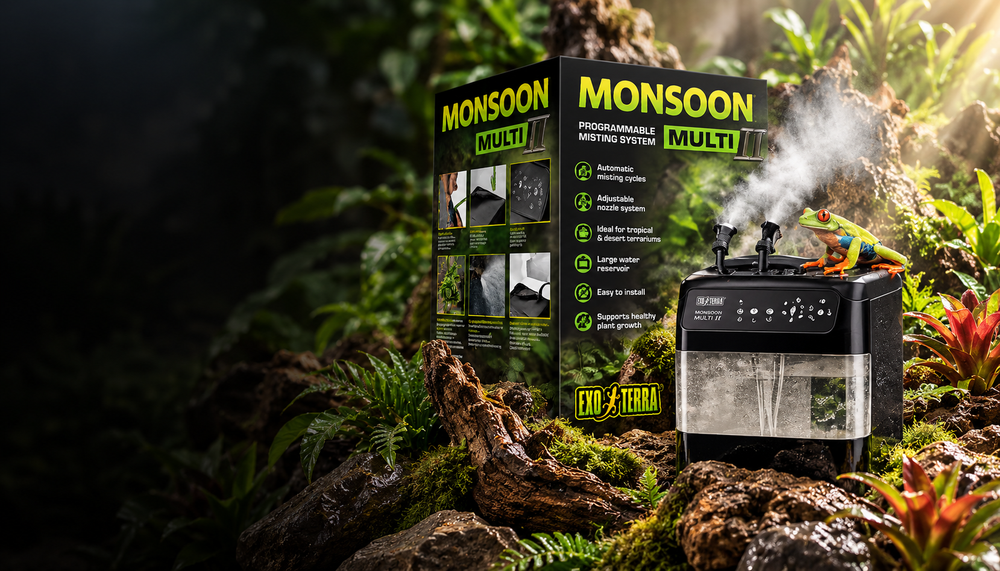 Reptile Humidity & Misting Guide
