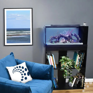 TMC First Wave Aquarium Set + Free Heater