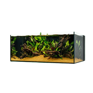 UNS Dual All-In-One 90SA - 47.9 Gallon Dual AIO Rimless Aquarium.