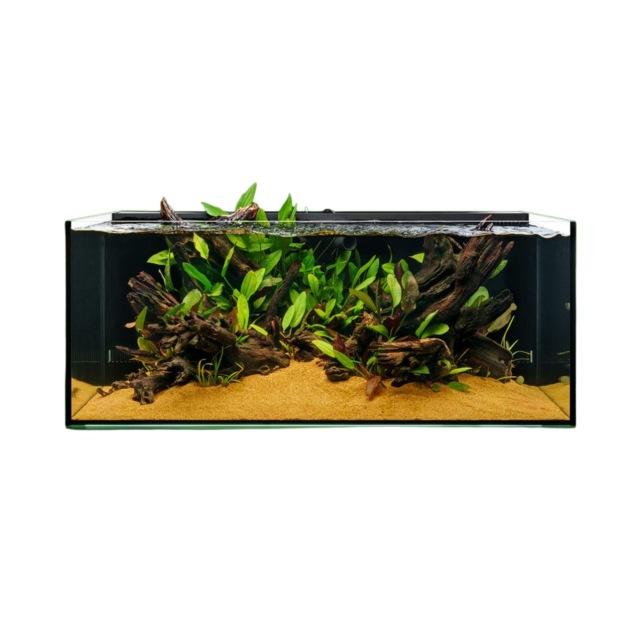 UNS Dual All-In-One 90SA - 47.9 Gallon Dual AIO Rimless Aquarium.
