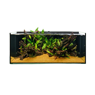 UNS Dual All-In-One 90SA - 47.9 Gallon Dual AIO Rimless Aquarium.