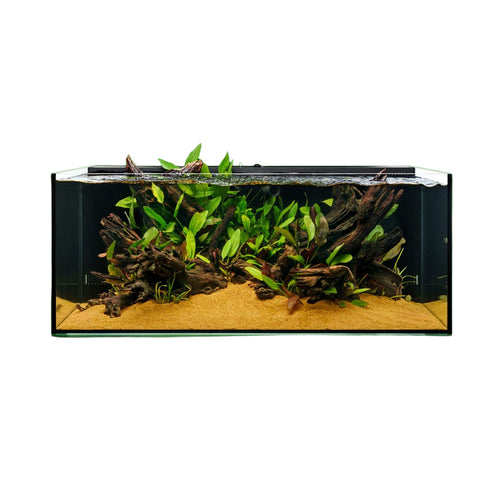 UNS Dual All-In-One 90SA - 47.9 Gallon Dual AIO Rimless Aquarium.