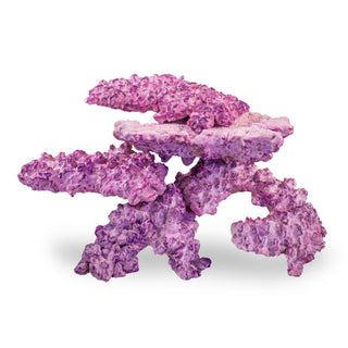 Aquaforest AF Nano Rock