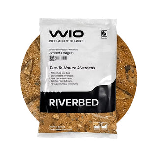 WIO Amber Dragon Riverbed