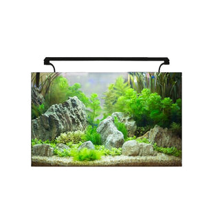 Aqua One AquaNano 60 Aquarium.