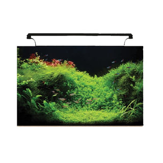 Aqua One AquaNano Aquarium