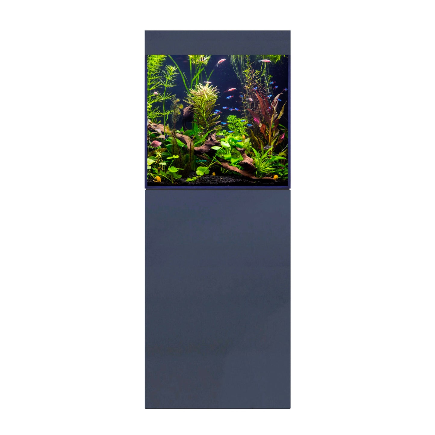 D-D Aqua-Pro Freshwater 600 Aquarium