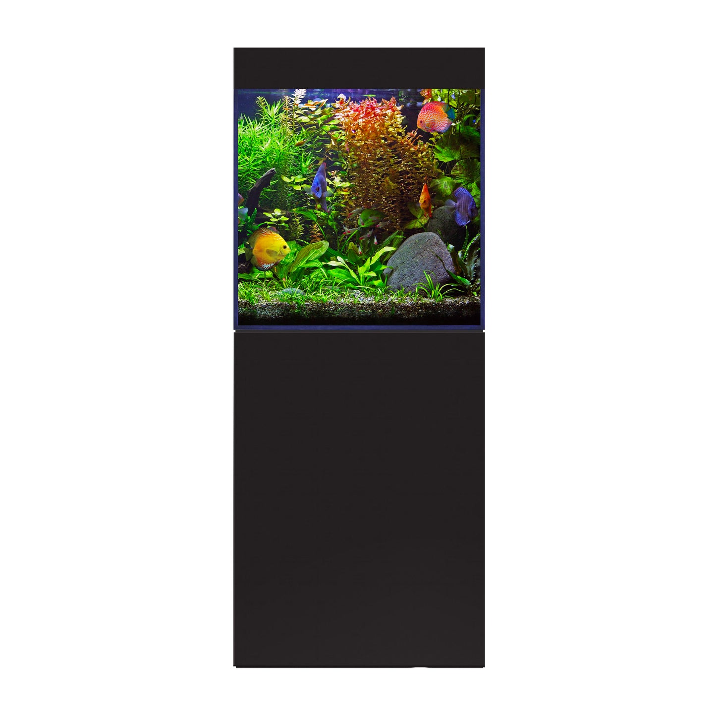 D-D Aqua-Pro Freshwater 600 Aquarium