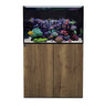 Tobacco Oak