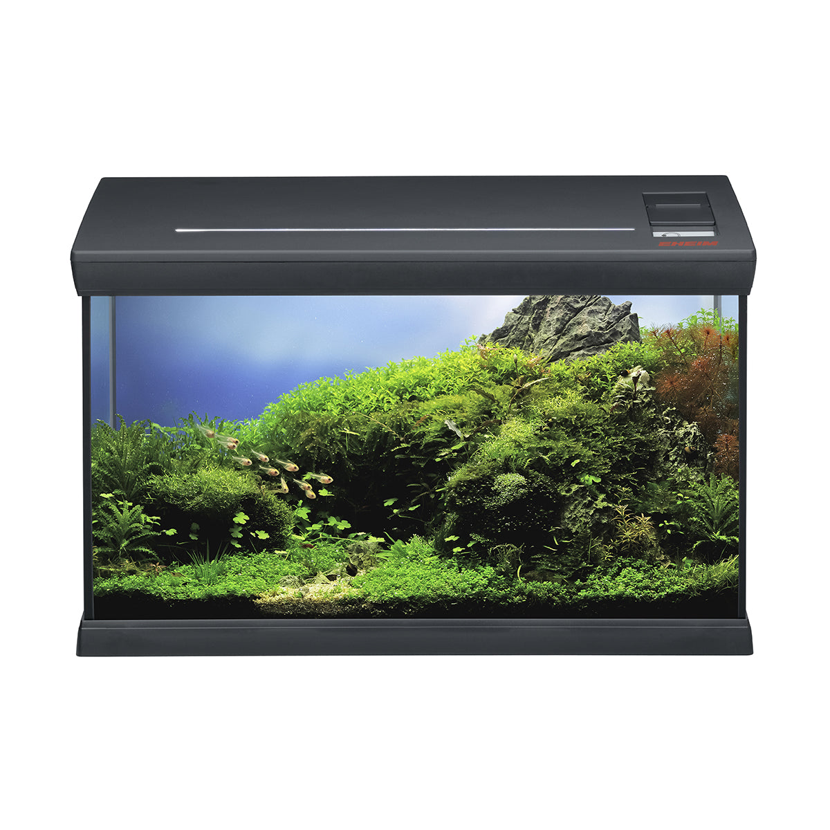 Eheim Aquafamily Aquarium.