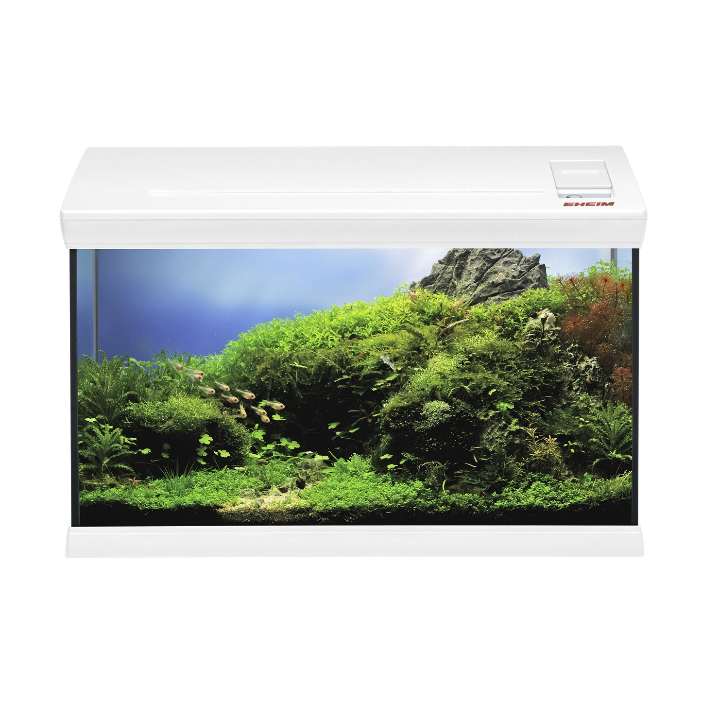 Eheim Aquafamily Aquarium.