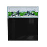 Gloss Black