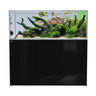 Gloss Black