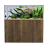 Tobacco Oak