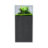 Carbon Oak