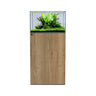 Natural Oak