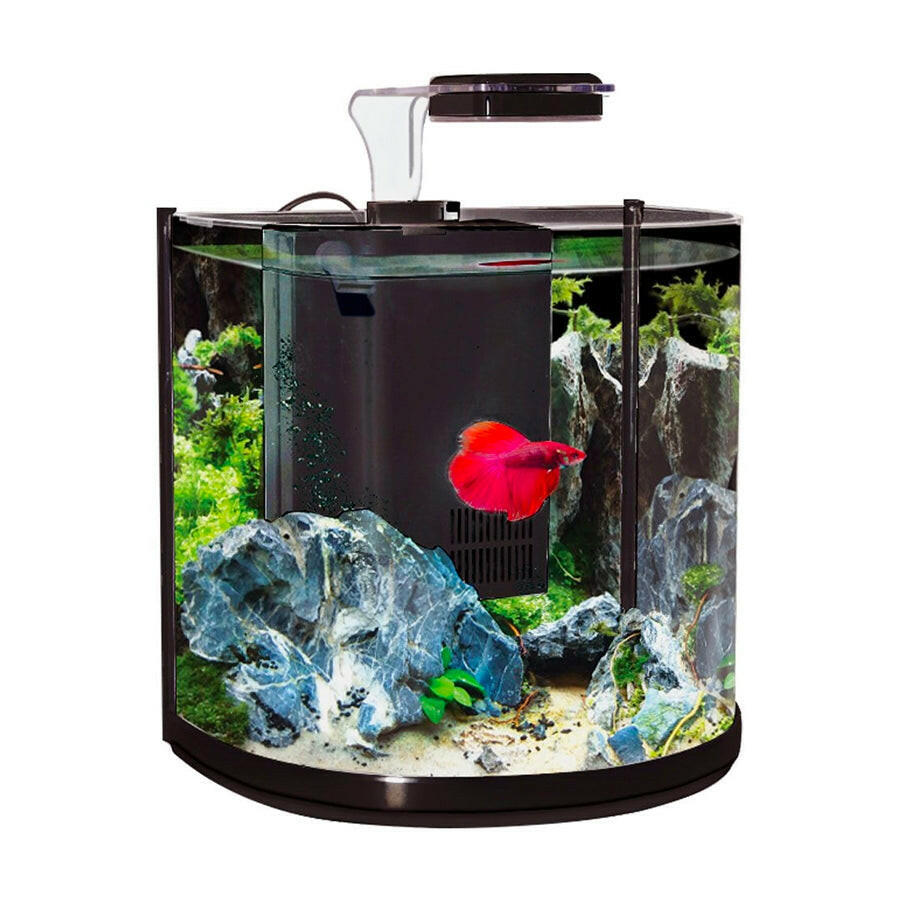 Aqua One BT10 Betta Aquarium