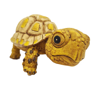 Betta Baby Turtle Aquarium Decoration