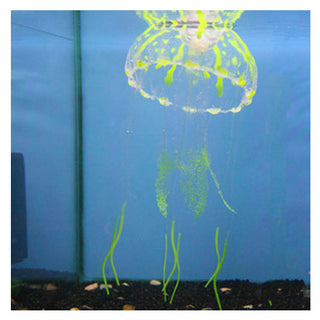 Betta Glow in The Dark Jellyfish Aquarium Ornament