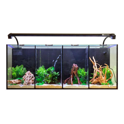 Aqua One Betta Quad Aquarium.