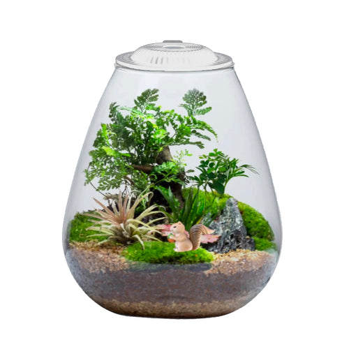 Bio Bowl and Light 200 Terrarium - White