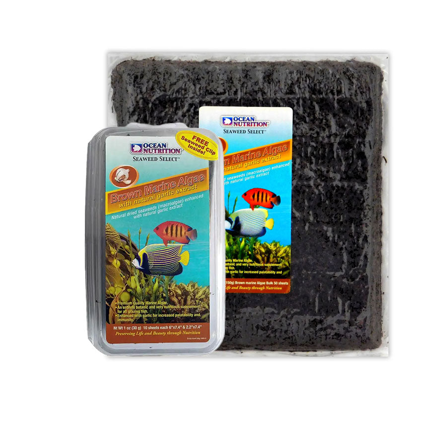 Ocean Nutrition Brown Marine Seaweed