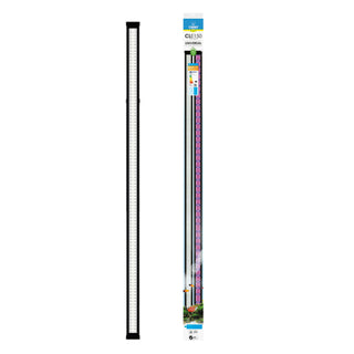 Ciano CLE 150 LED - Black