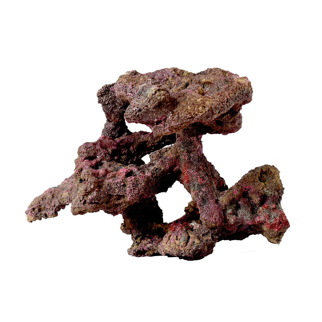 TMC EcoReef Centrepiece 09