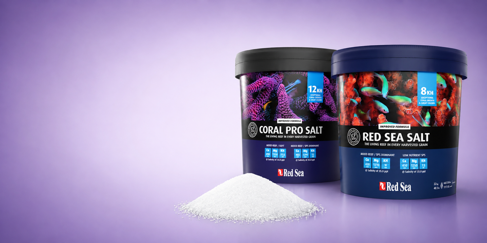 Marine Salt Calculate 