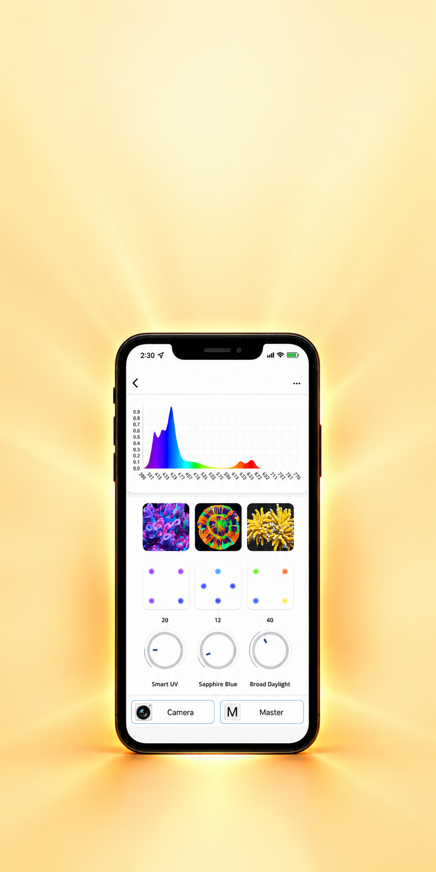 Dalua App Ecosystem